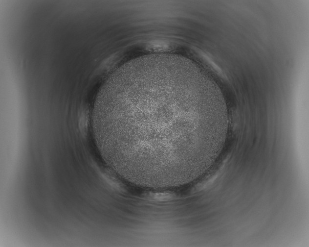 X0000110870645200906251229