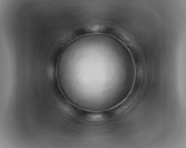 X0000110870651200906251229