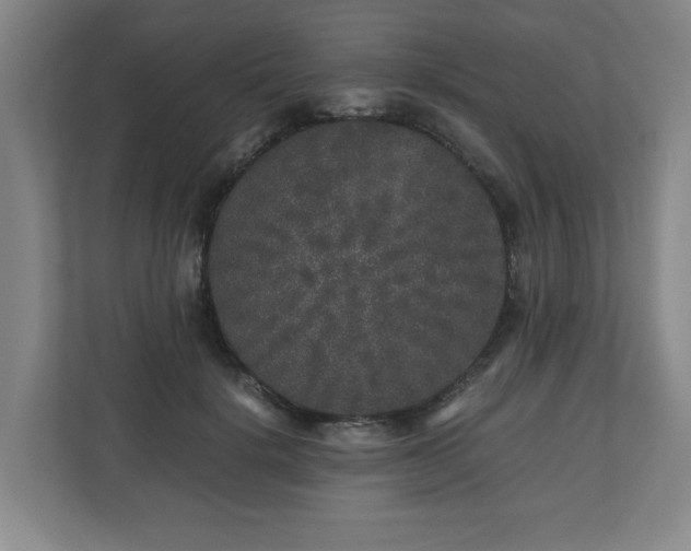 X0000110870652200906251229