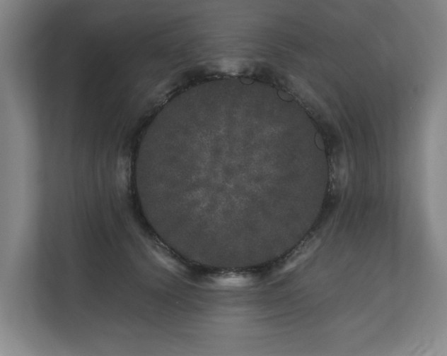 X0000110870656200906251229