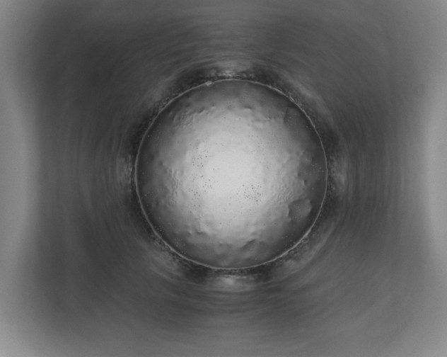 X0000110870657200906251230