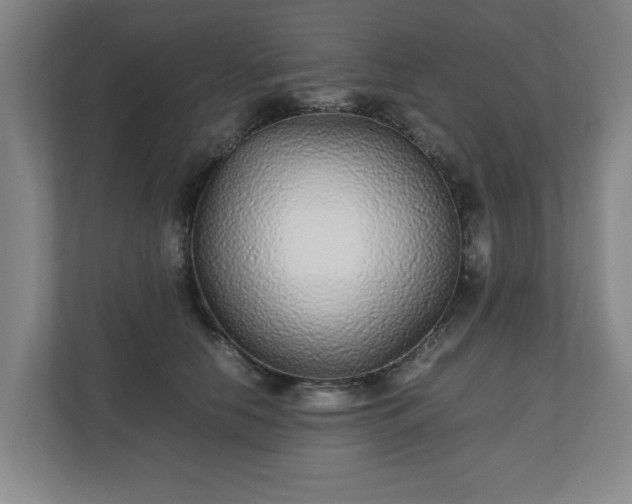 X0000110870658200906251230