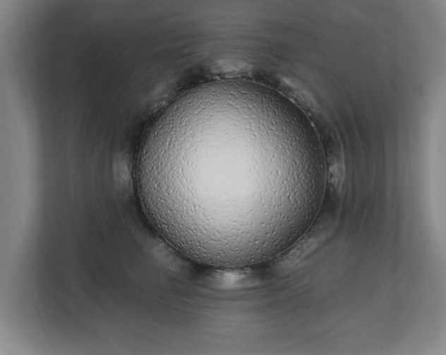 X0000110870662200906251230