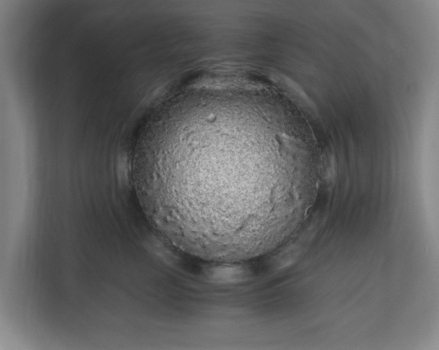 X0000110870669200906251230