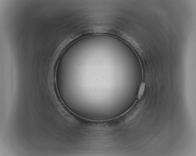 X0000110870673200906251229