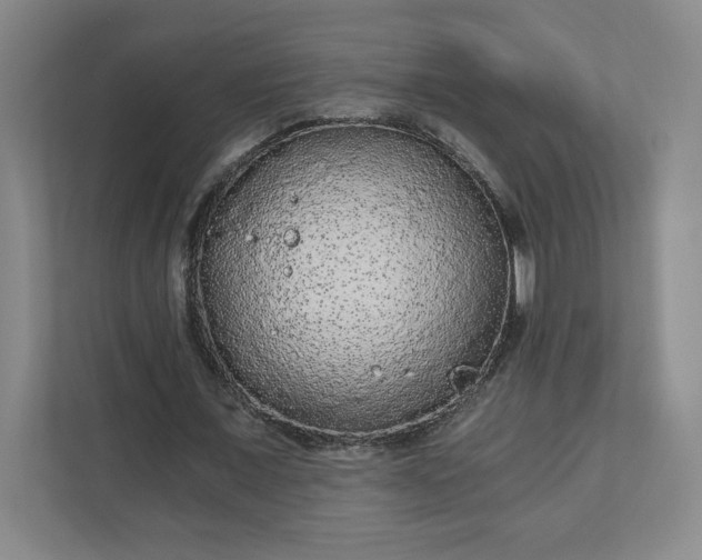 X0000110870675200906251229