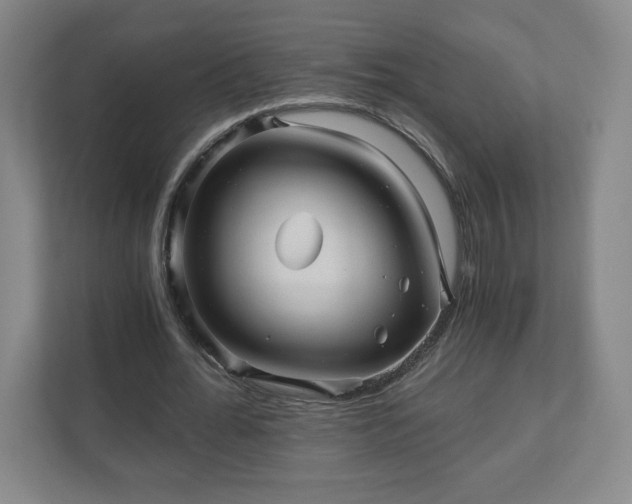 X0000110870676200906251229