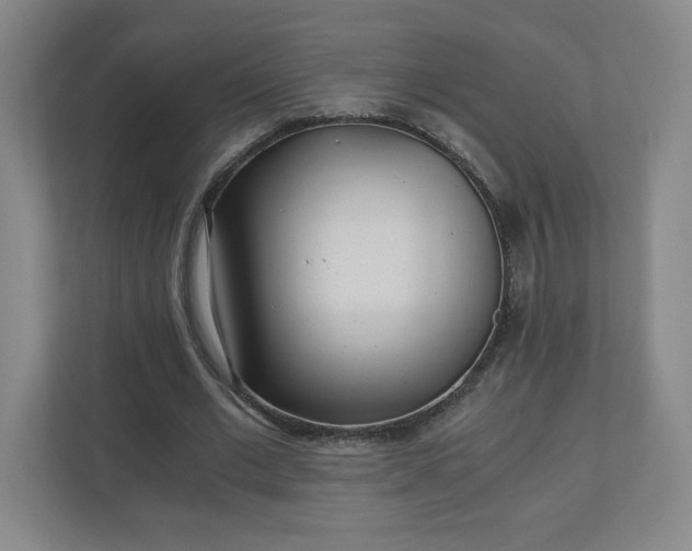 X0000110870677200906251229