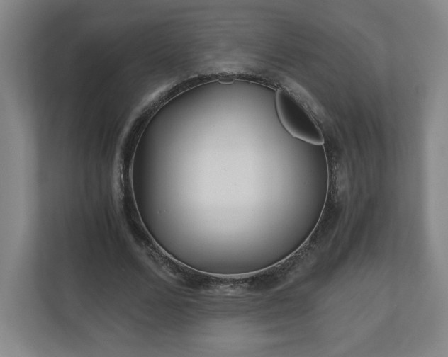 X0000110870680200906251229