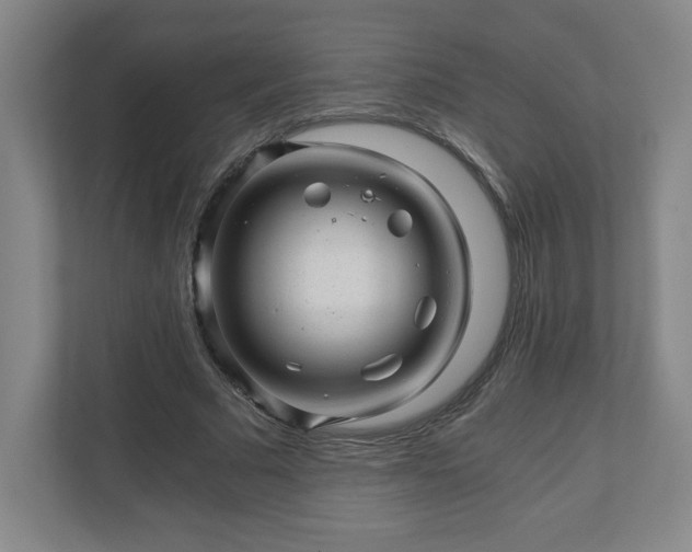 X0000110870681200906251229