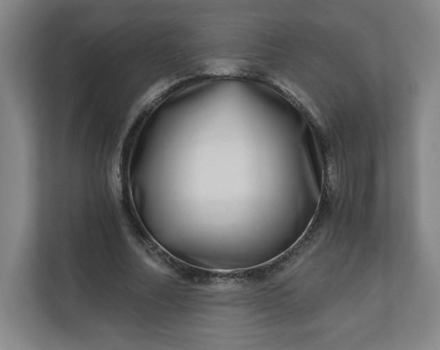 X0000110870682200906251229