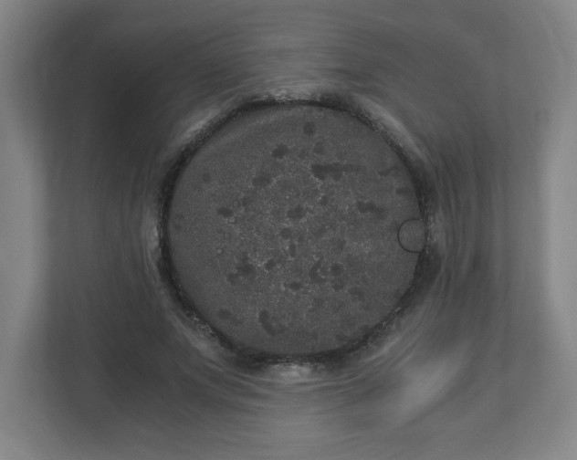 X0000110870687200906251229