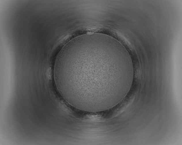 X0000110870689200906251229