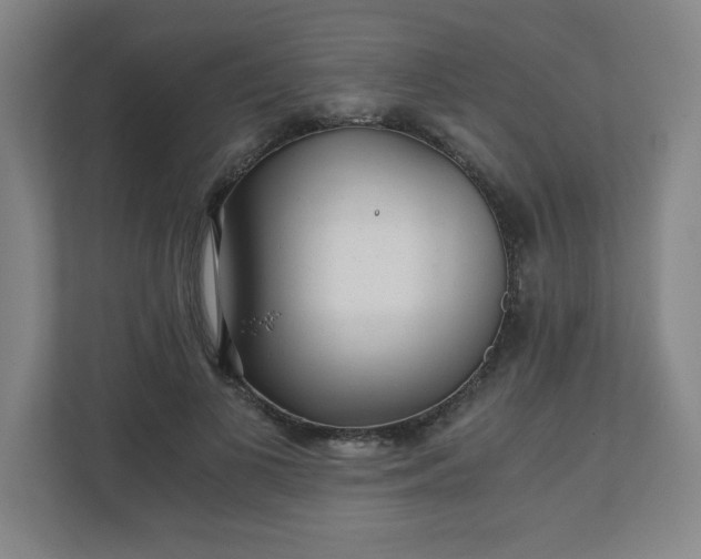 X0000110870693200906251229