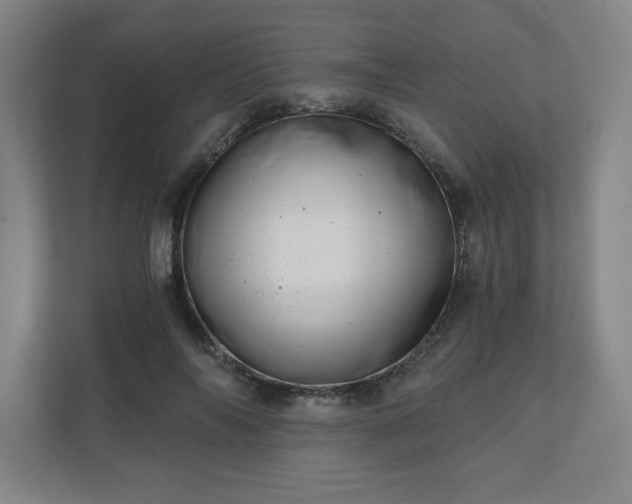 X0000110870694200906251229