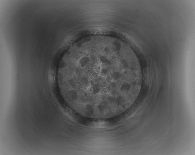 X0000110870695200906251229