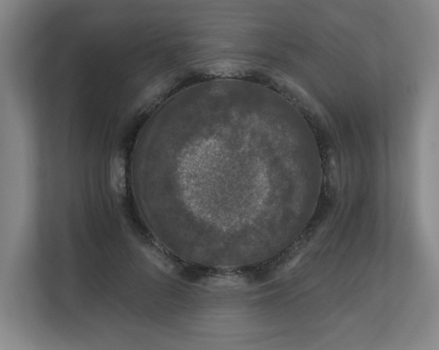 X0000110870696200906251229