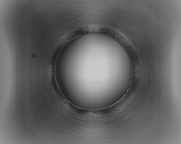 X0000110870697200906251229