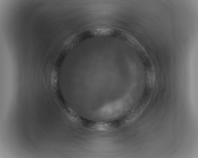 X0000110870701200906251229