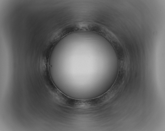 X0000110870702200906251229