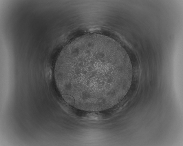 X0000110870703200906251229