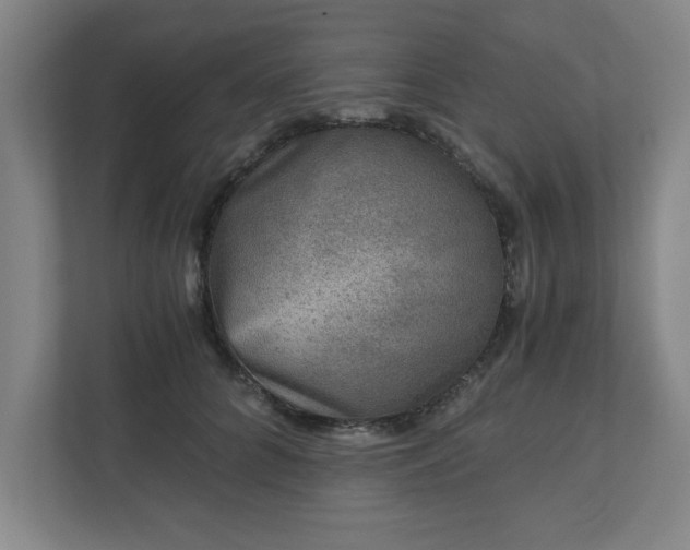 X0000110870704200906251229