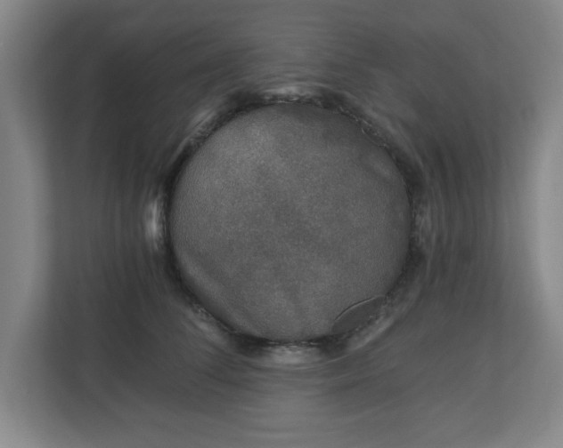 X0000110870708200906251229