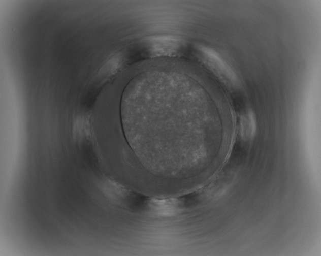 X0000110870712200906251229