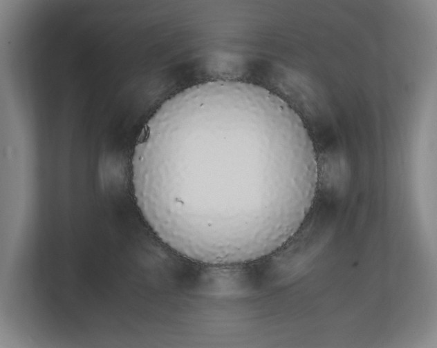 X0000110870713200906251229