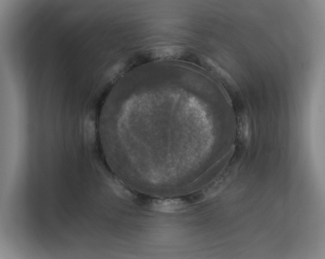 X0000110870716200906251229