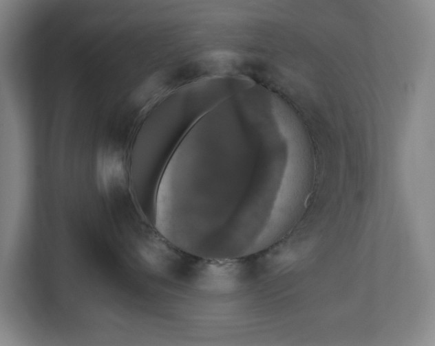 X0000110870720200906251228