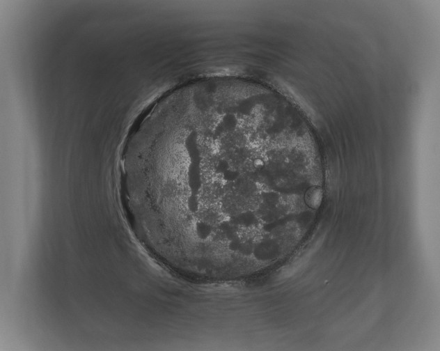 X0000110870721200906251228