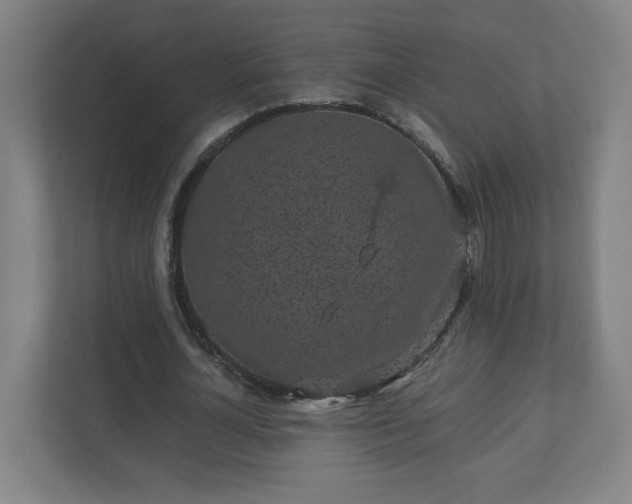 X0000110870724200906251228