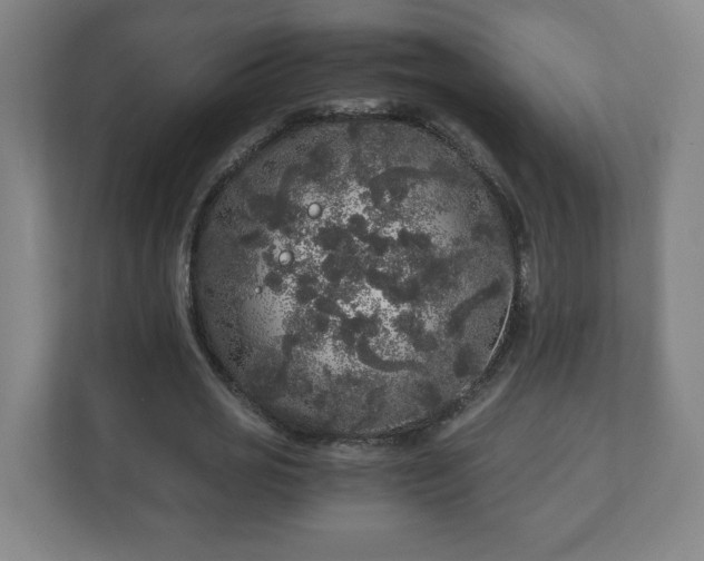 X0000110870725200906251228