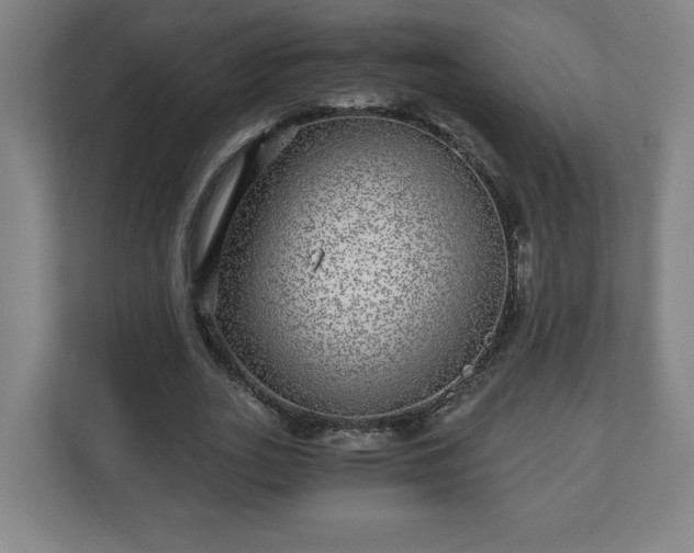 X0000110870727200906251228