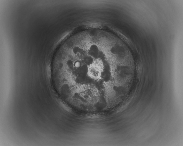 X0000110870729200906251228