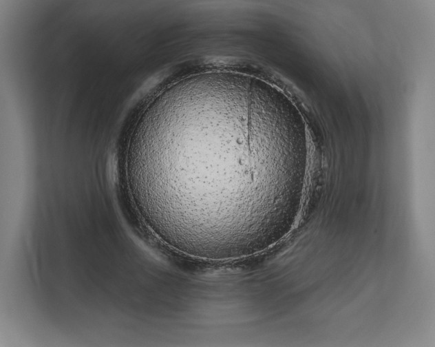 X0000110870734200906251228