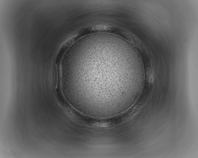 X0000110870735200906251228