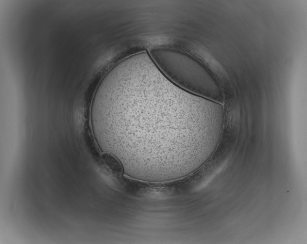 X0000110870736200906251228