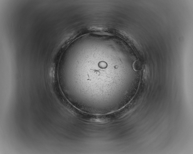 X0000110870739200906251228