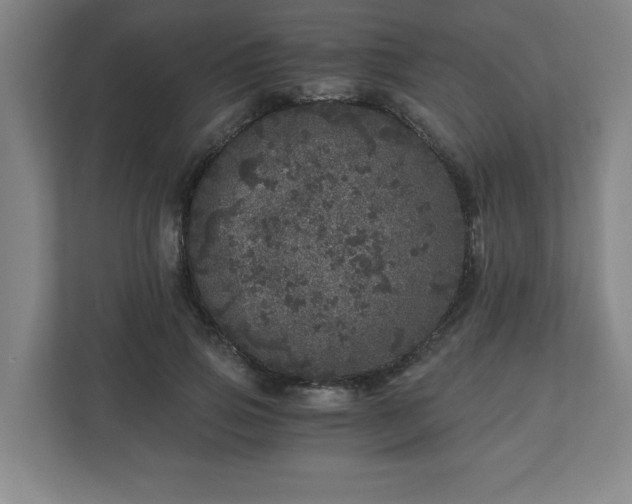 X0000110870741200906251228