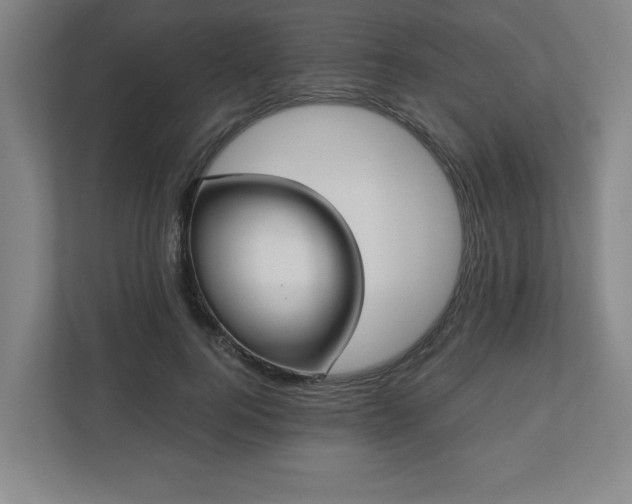 X0000110870744200906251228