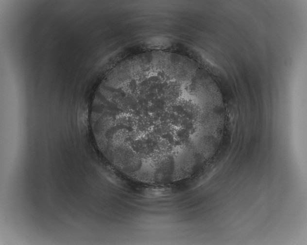 X0000110870745200906251228