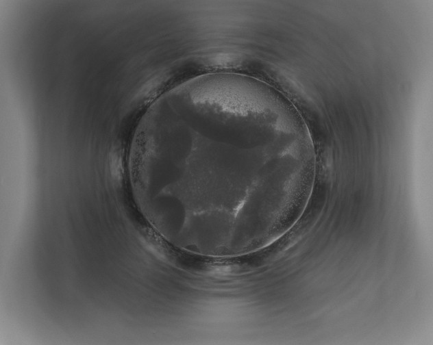 X0000110870746200906251228