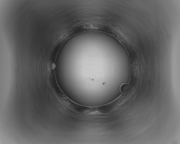 X0000110870747200906251228