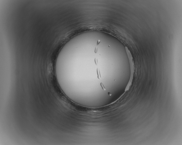 X0000110870748200906251228