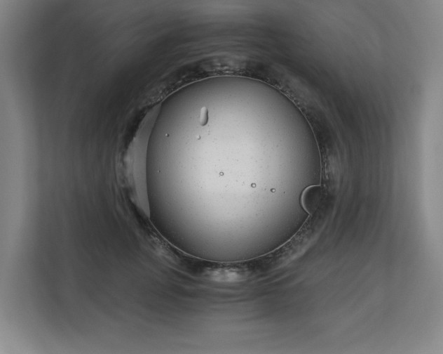 X0000110870751200906251228