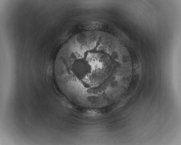 X0000110870753200906251228