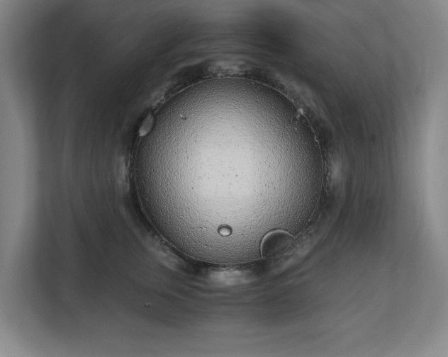 X0000110870759200906251228