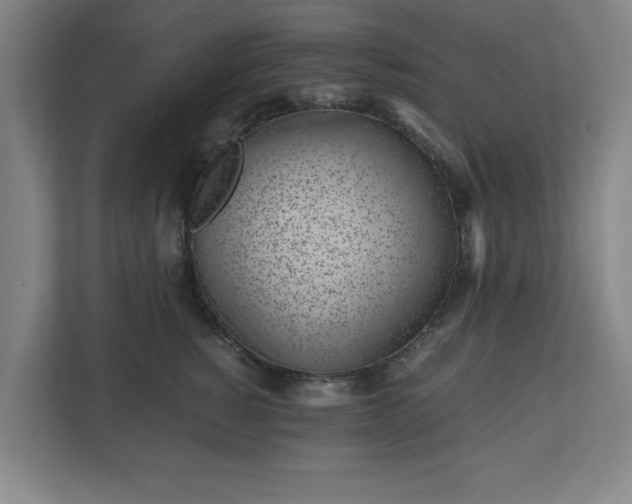 X0000110870760200906251228